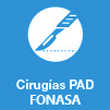 Servicio de Scanner